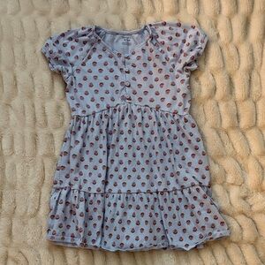 Carter's Light Blue Dress with Red Floral Design